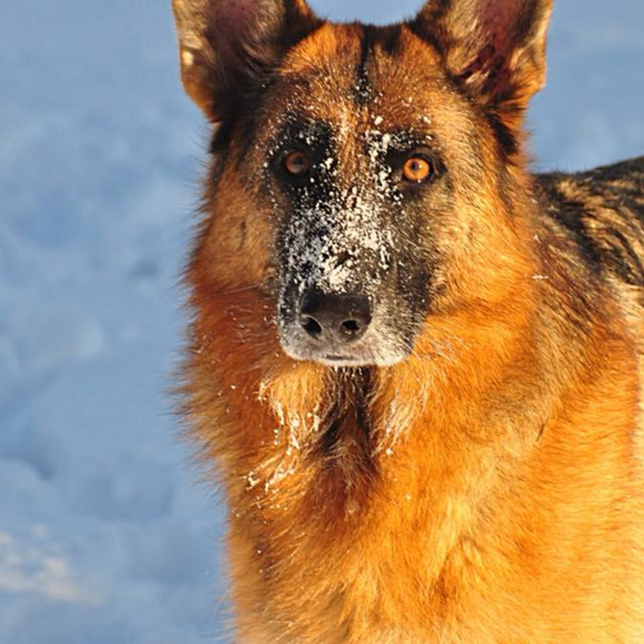 Meet your Posher, Barbie! - Picture 6 of 6